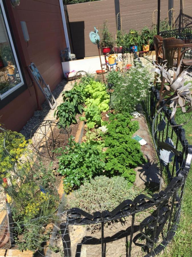 The Calgary Hub Hostel Style Home YYC Exterior foto